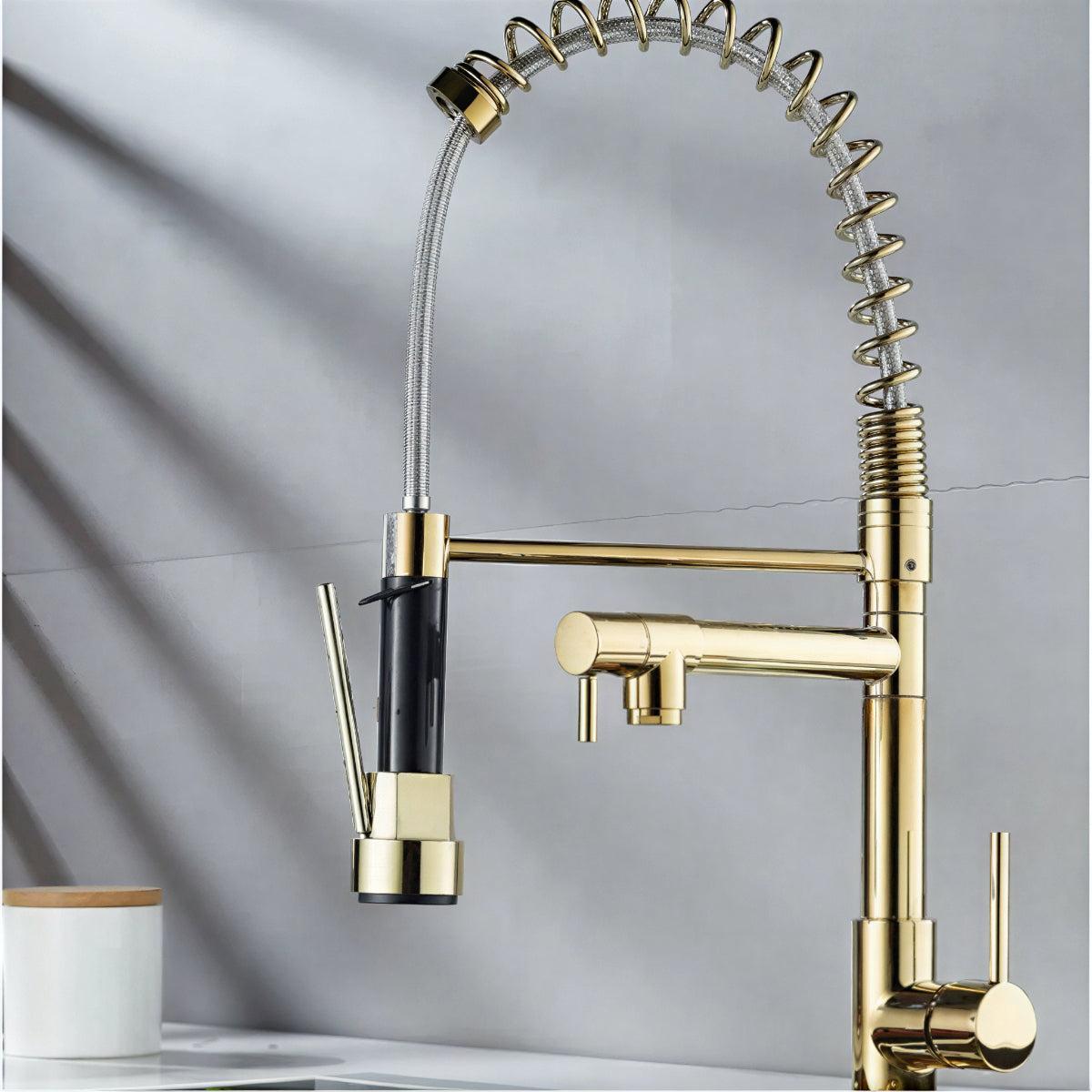 Double Outlet Kitchen Faucet With Sprayer and Swivel Spout