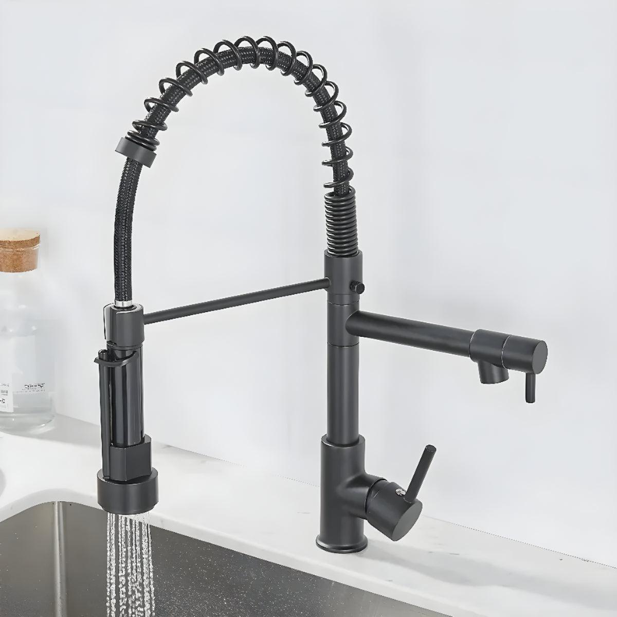 Double Outlet Kitchen Faucet With Sprayer and Swivel Spout