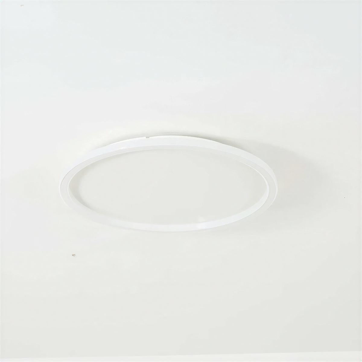 Modern Round Ceiling Light With Flush Mount Design