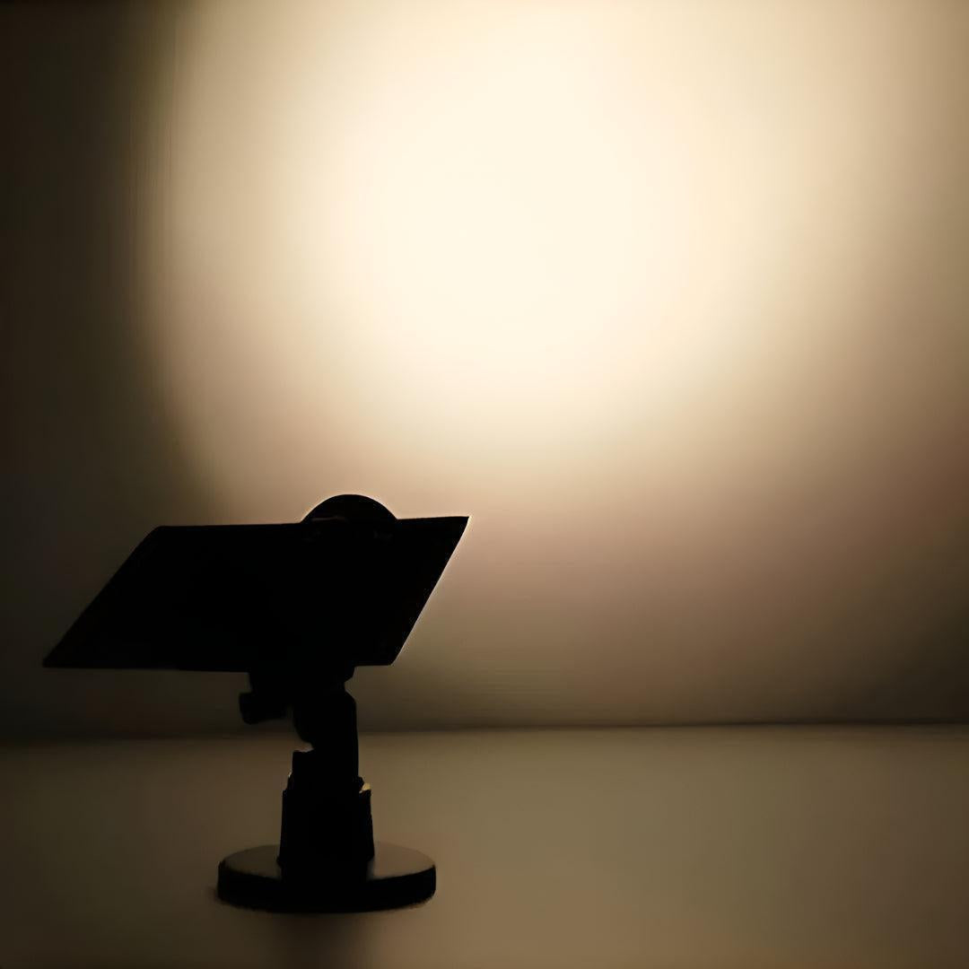 Outdoor Solar Landscape Spot Lights for Garden and Yard