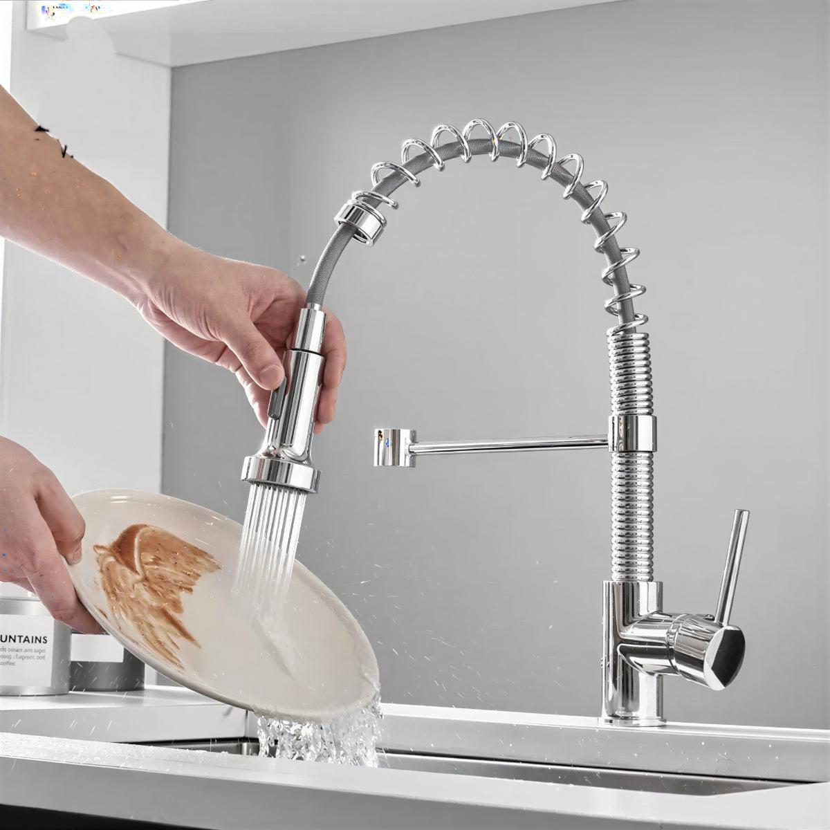 Double Outlet Kitchen Faucet With Sprayer and Swivel Spout