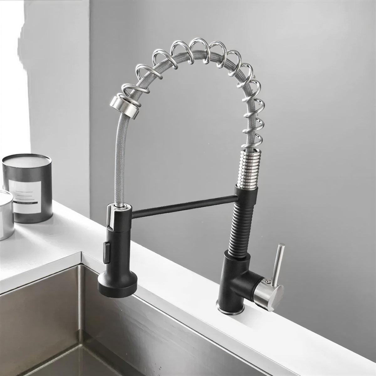 Double Outlet Kitchen Faucet With Sprayer and Swivel Spout