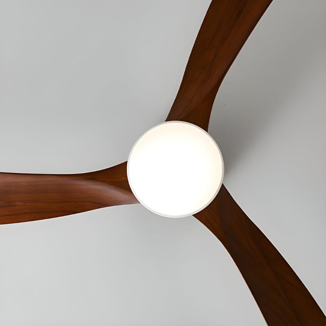 Modern Nordic Wooden Ceiling Fan Light With Remote